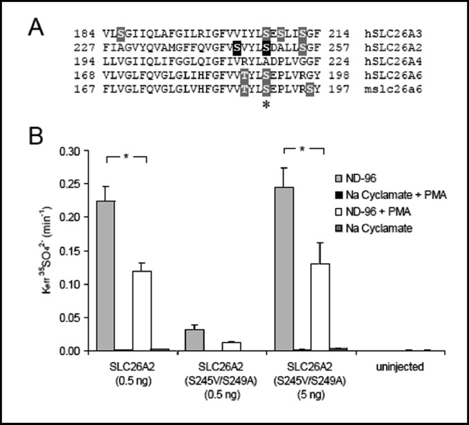 Fig. 9