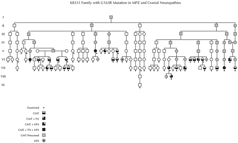 Fig.1