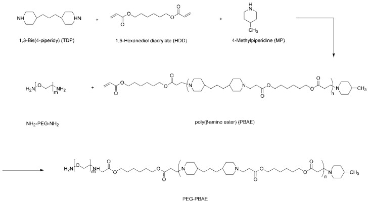 Scheme 2