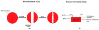 Figure 8