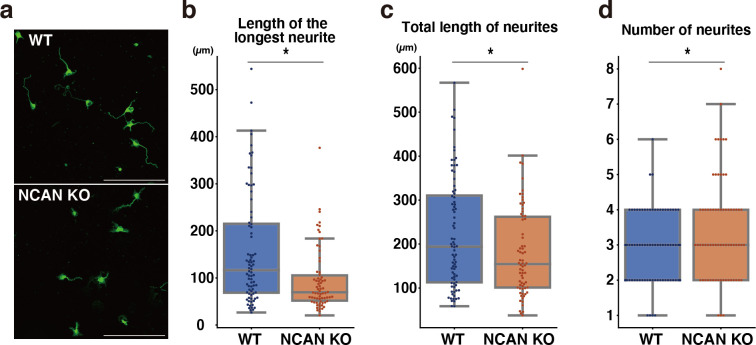 Figure 10—figure supplement 3.