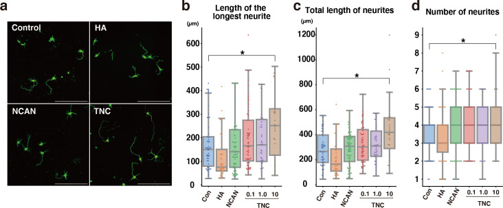 Figure 10—figure supplement 2.