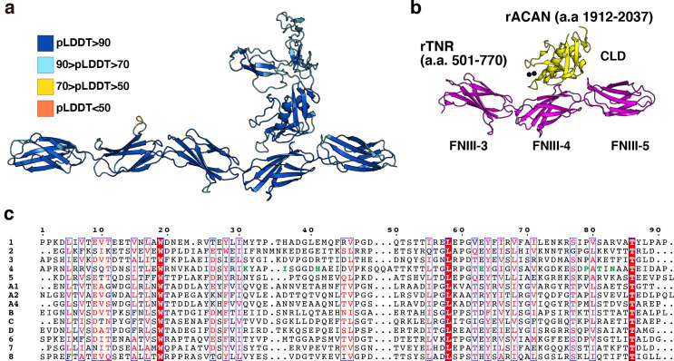 Figure 4—figure supplement 1.
