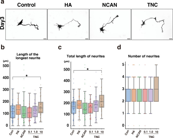 Figure 10—figure supplement 1.