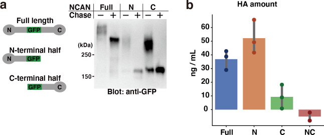 Figure 2—figure supplement 1.