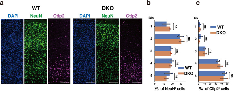 Figure 6—figure supplement 3.