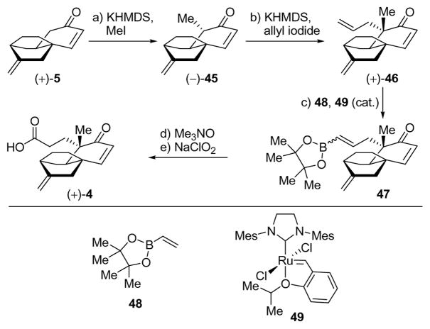 Scheme 6