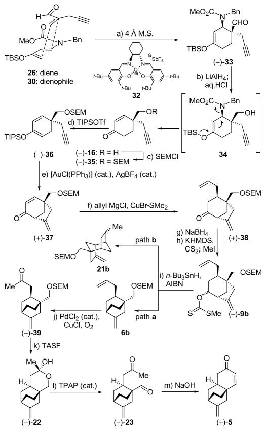 Scheme 3