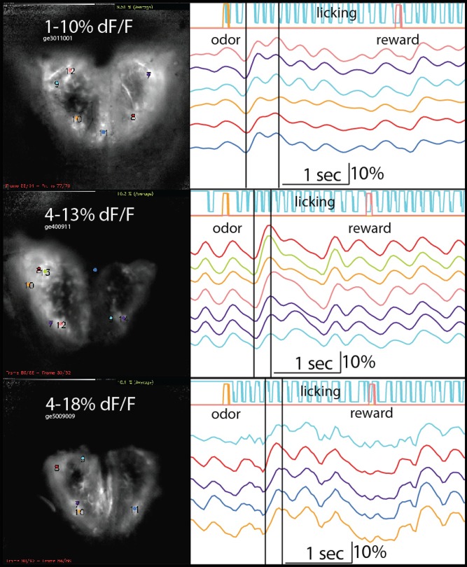 Fig 4