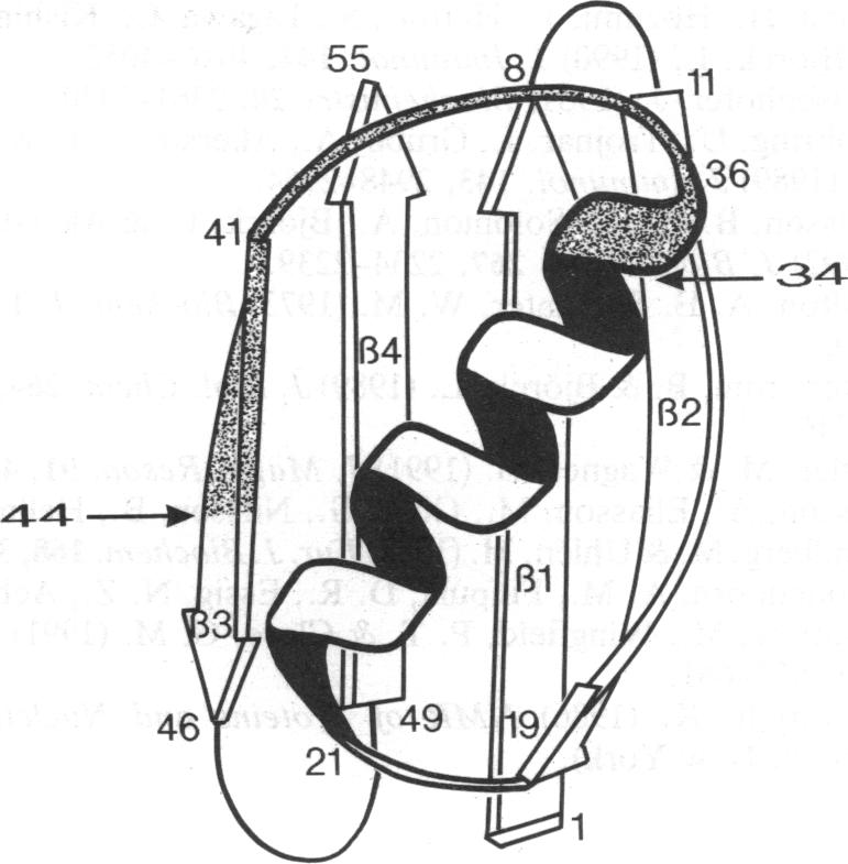 graphic file with name pnas01092-0136-a.jpg