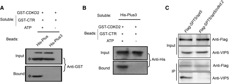 Figure 7.