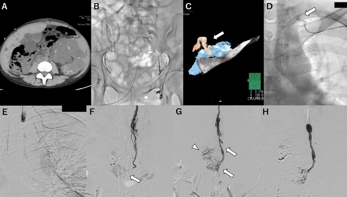 Fig. 2 –