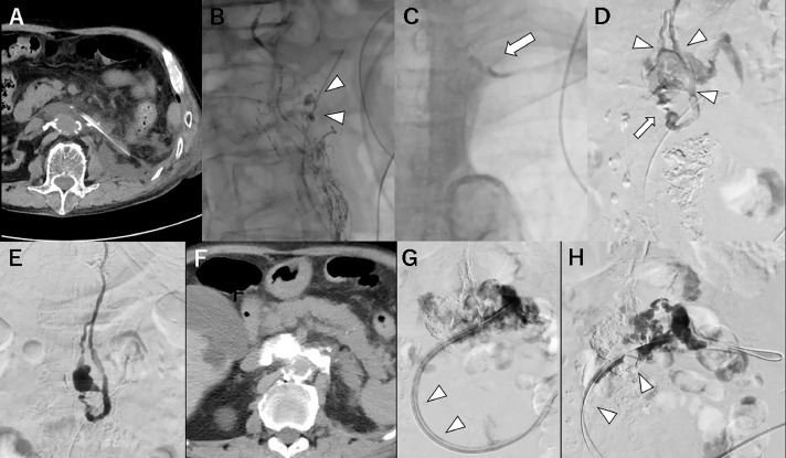 Fig. 3 –