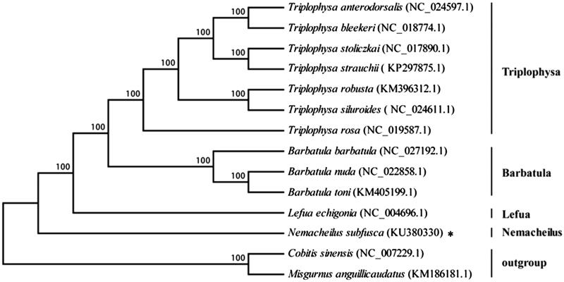 Figure 1.