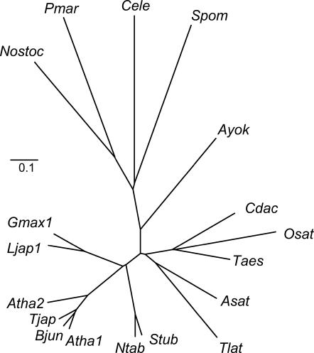 Figure 1.