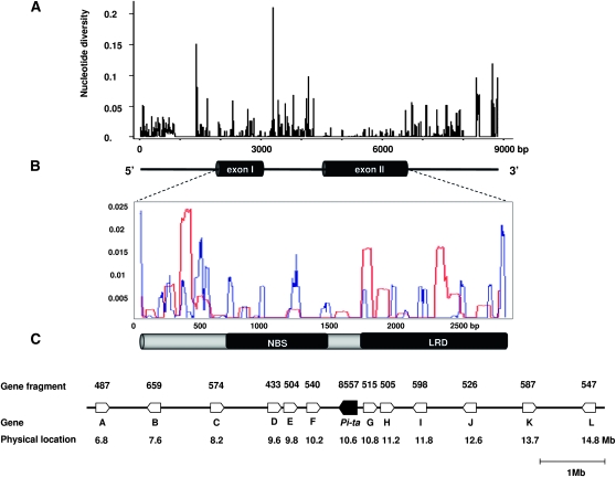 Figure 1.—