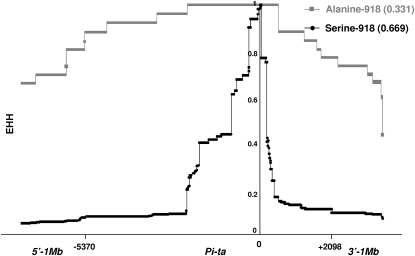 Figure 3.—