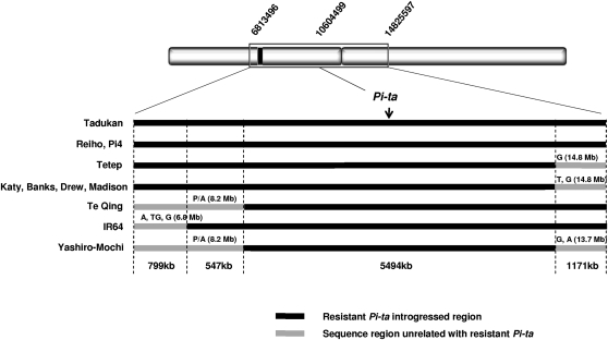 Figure 5.—