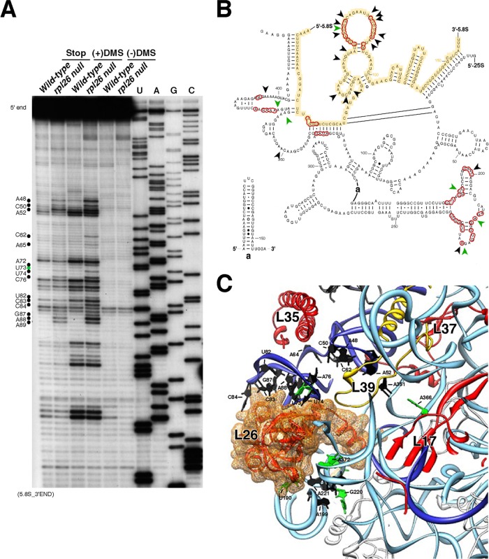 Fig 10