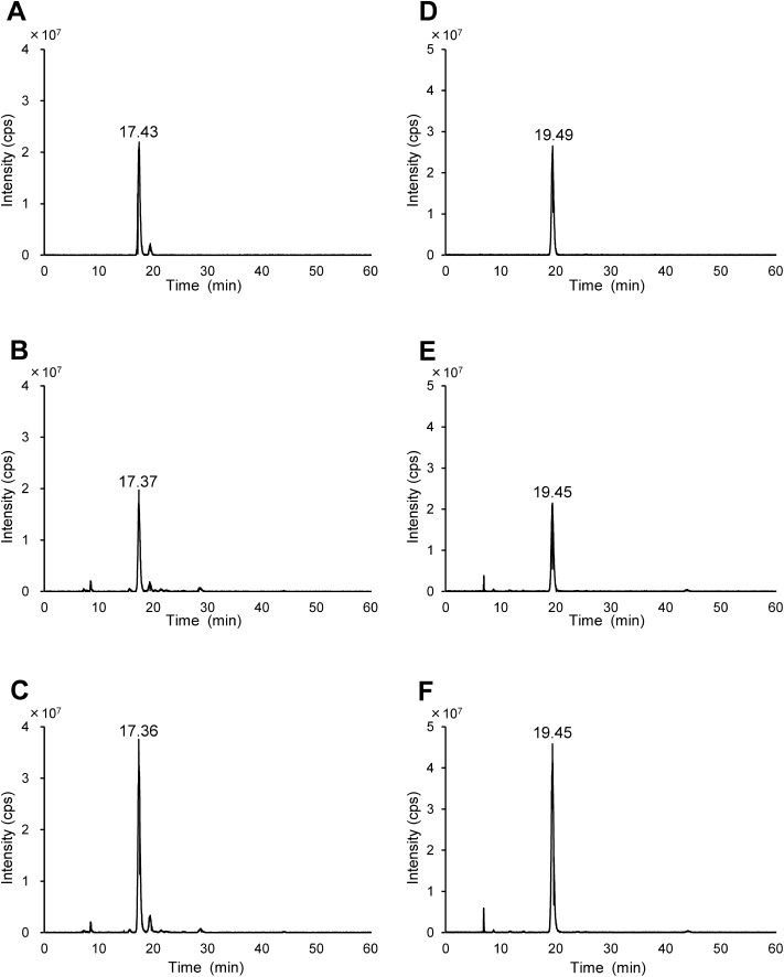 Fig. 3. Extracted ion chromatograms of m/z 469 (A); authentic preparation of 3β-sulfooxy-7β-hydroxy-5-cholen-24-oic acid (B); NPC patient urine (C); authentic preparation spiked NPC patient urine and m/z 467 (D); authentic preparation of 3β-sulfooxy-7-oxo-5-cholen-24-oic acid (E); NPC patient urine (F); authentic preparation spiked NPC patient urine, respectively.