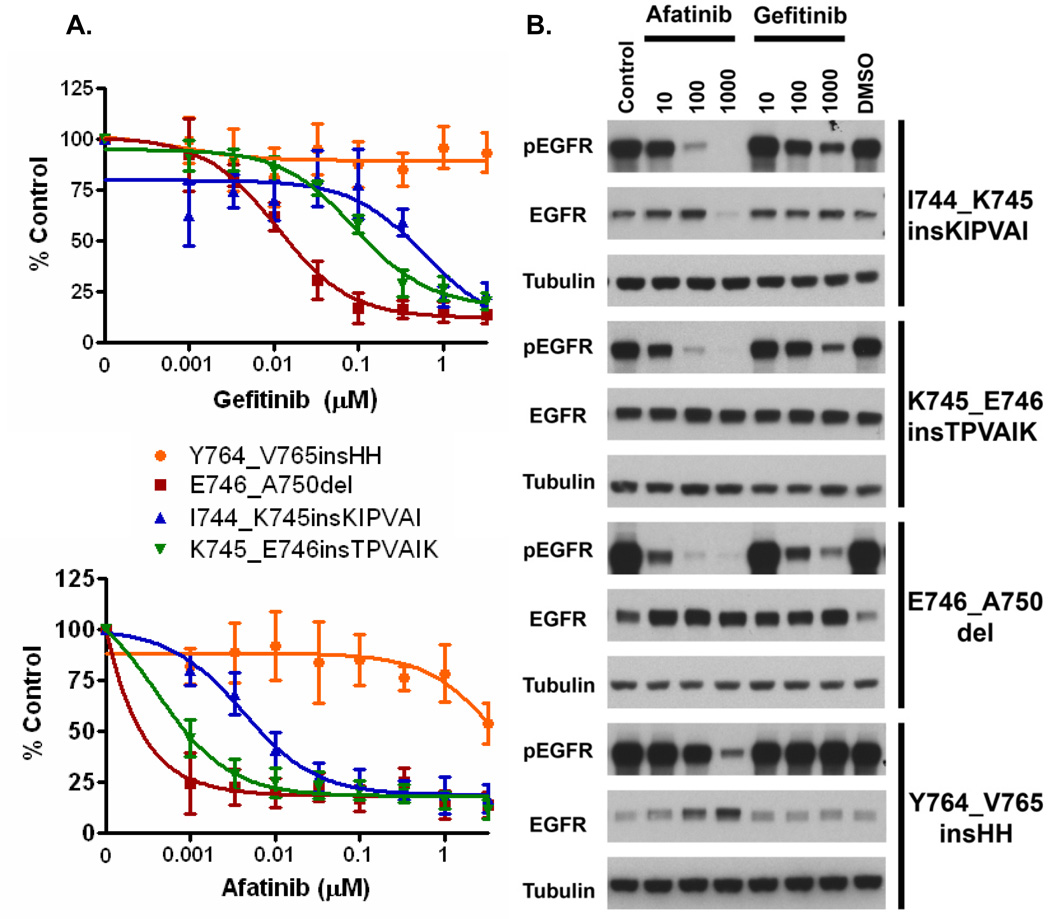 EGFR Exon 19 Insertions: A New Family of Sensitizing EGFR Mutations in ...