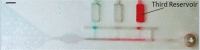 graphic file with name 41378_2023_568_Tabt_HTML.gif