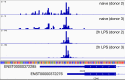Figure 4—figure supplement 3.