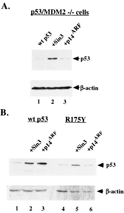 FIG. 6