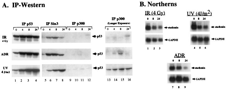 FIG. 8