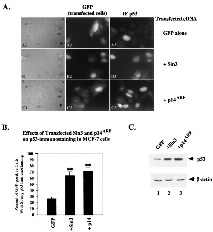 FIG. 7