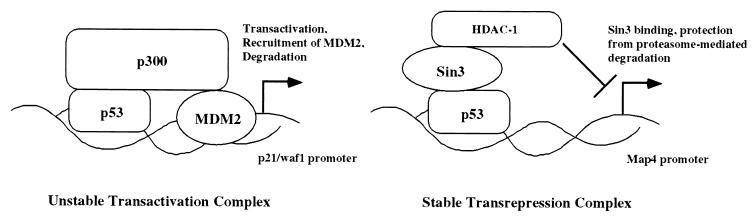 FIG. 9