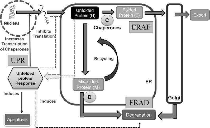 Fig. 1