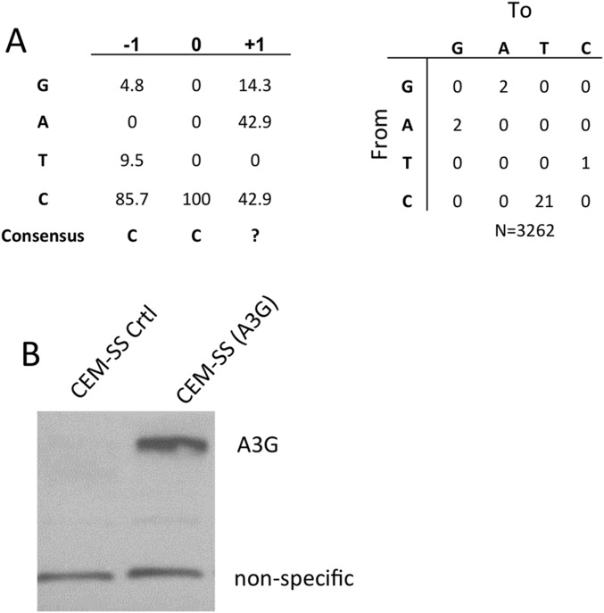 Fig. S4.