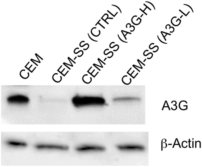 Fig. S5.