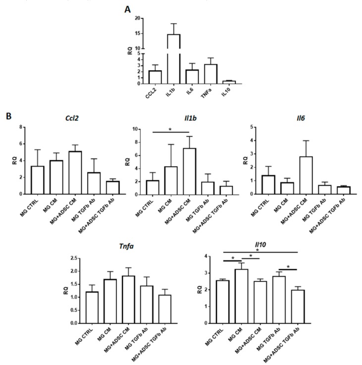 Figure 6