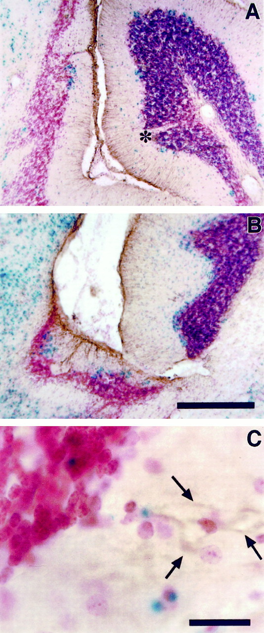 Fig. 5.