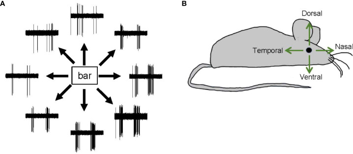 Figure 7