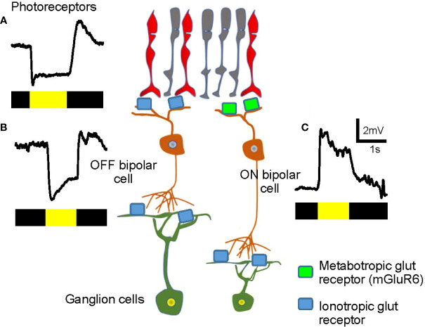 Figure 3