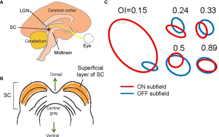 Figure 5