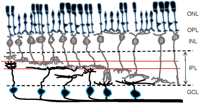 Figure 2