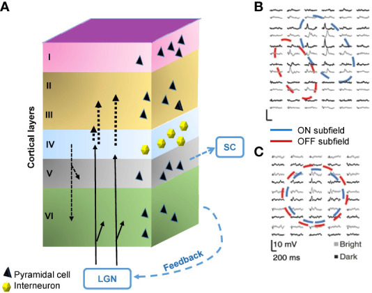 Figure 4