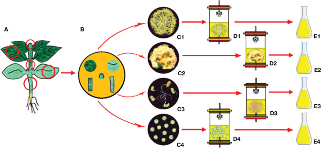 Figure 7