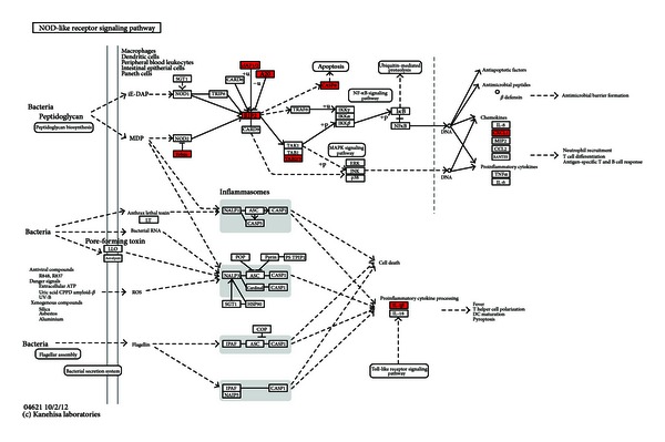 Figure 2