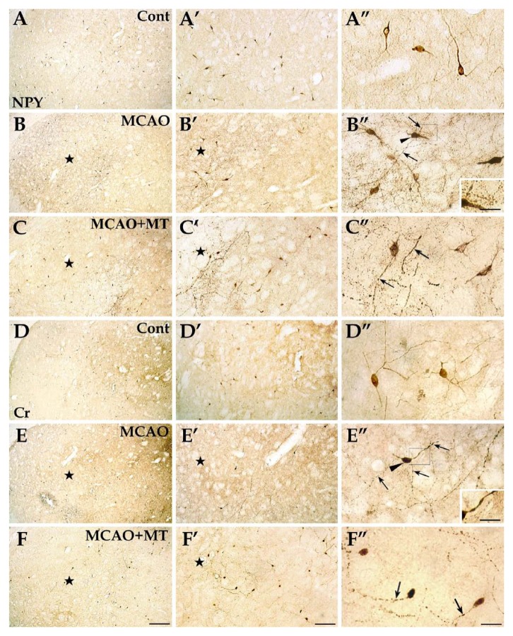 Figure 7.