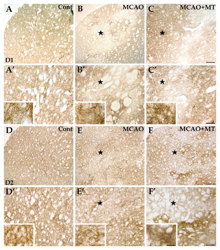 Figure 6.