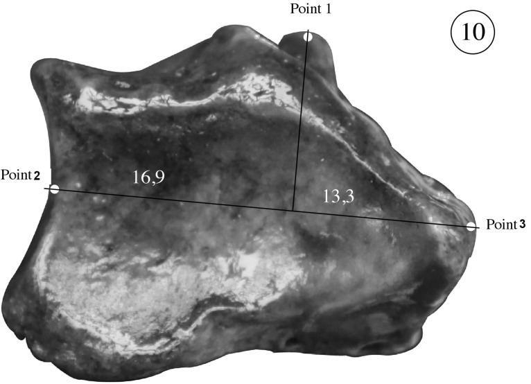 Fig. (4)