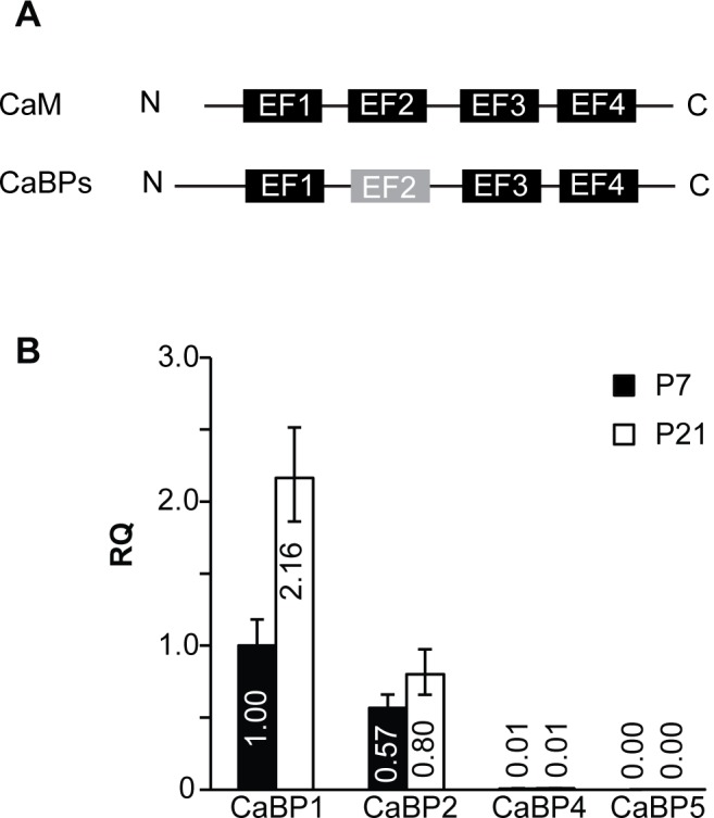 Fig 1