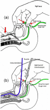 Fig 2
