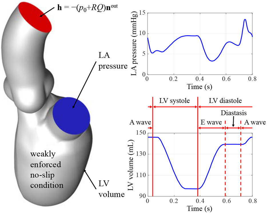 Figure 3: