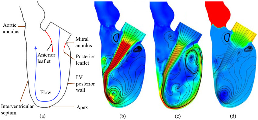 Figure 6: